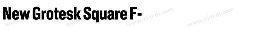 New Grotesk Square F字体转换 New Grotesk Square F字体转换
